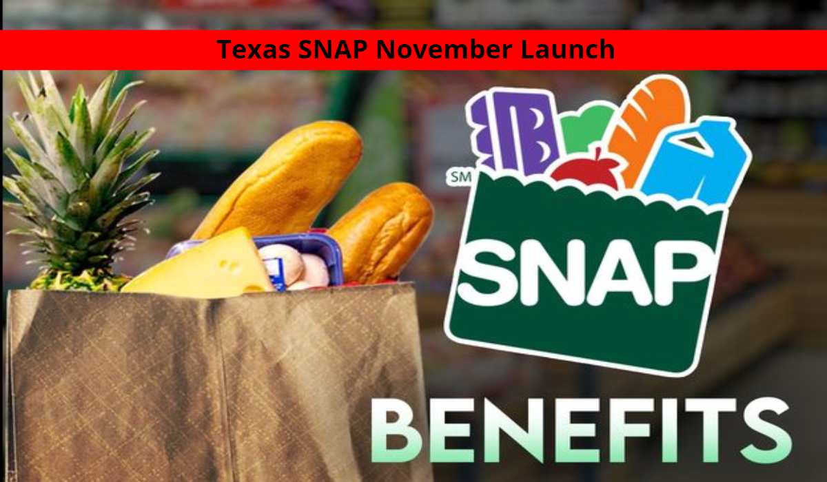 Texas SNAP November Launch