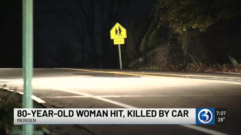 Bronx Tragedy: 80-Year-Old Woman Fatally Struck by Honda Driver in Early Morning Collision