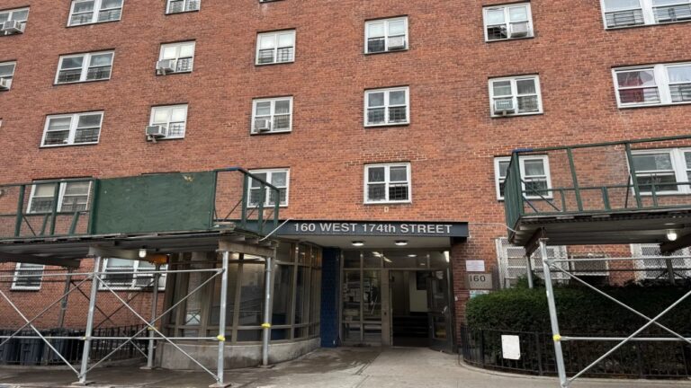 Bronx Woman, 59, Charged in Fatal Shooting of 24-Year-Old Man