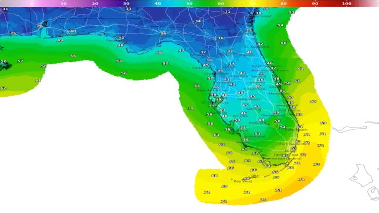 Jacksonville Weather Update: Fall Freeze Watch Expected on Thanksgiving Night