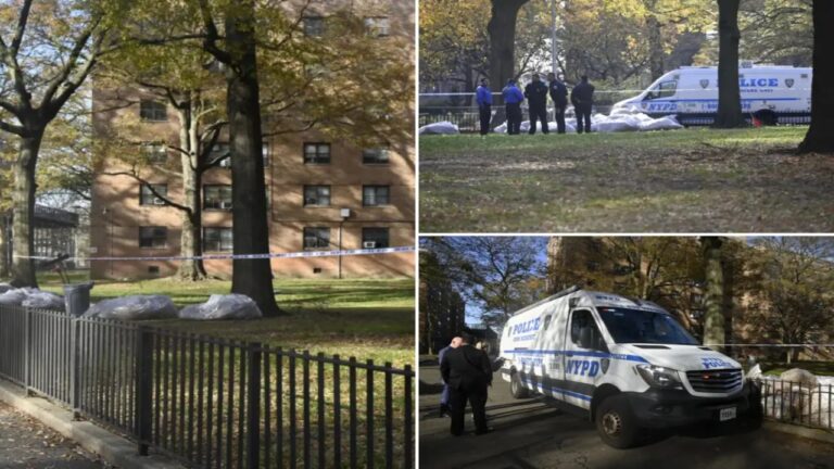 New York Tragedy: Baby Found Dead in Pile of Leaves Behind Brooklyn Building