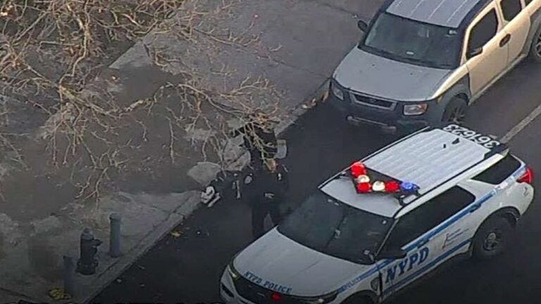 12-Year-Old Boy Hospitalized in Critical Condition After Playground Stabbing