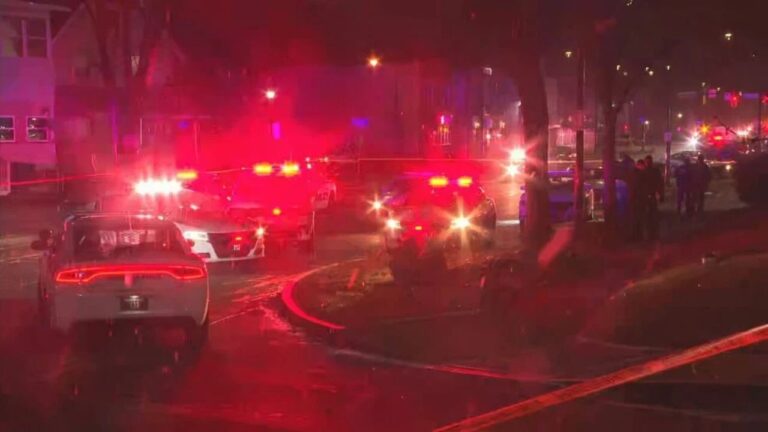 Three Police Officers Shot During Late-Night Incident in New York City