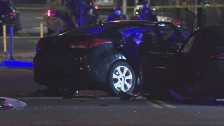 Drunk Driver Kills Her 4-Year-Old Son After Driving Wrong Way and Crashing Into Tesla, Police Say