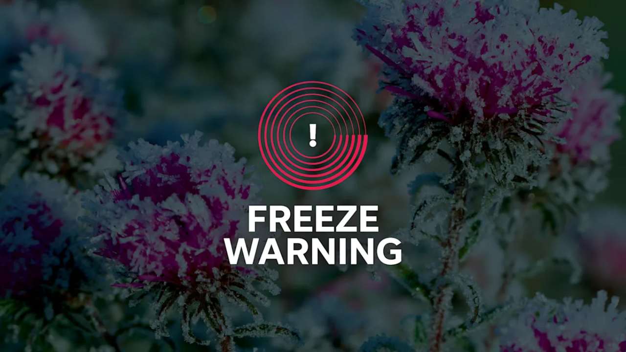 Southern Arizona Freeze Warning in Effect Through 9 AM Saturday, January 10