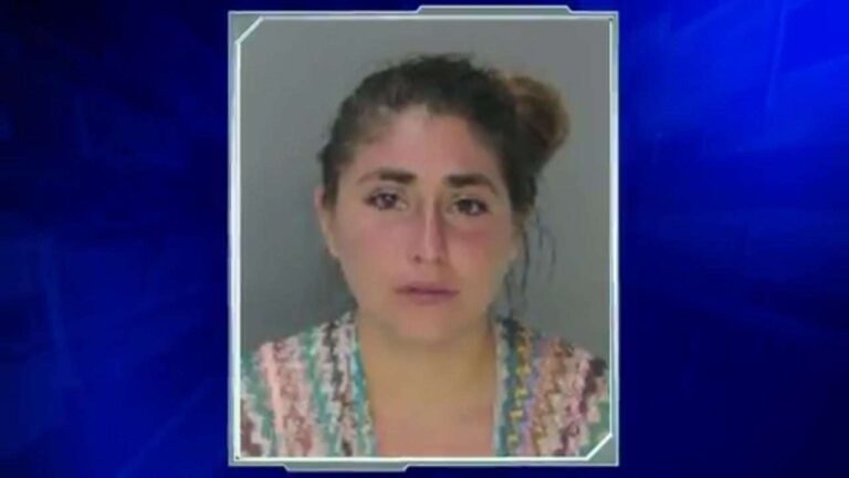 Teen Arrested After Allegedly Kicking Pregnant Woman in Stomach Despite Knowing She Was Expecting, Police Say