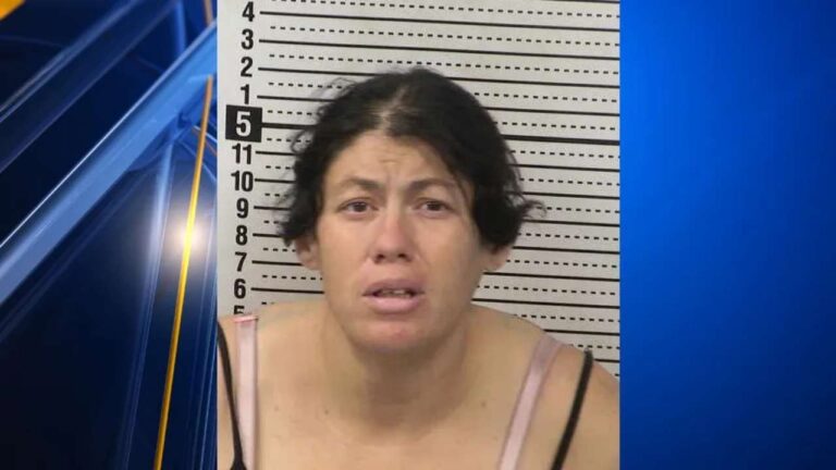 New Mexico Woman Charged After Newborn Found Dead in Portable Toilet, Authorities Say